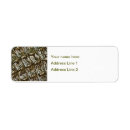 Buscar lagarto etiquetas Coligador