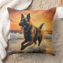 Buscar malinois belgas cojines General y unisex