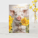 Buscar siembra tarjetas Girasoles