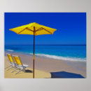 Buscar paraguas amarillo posters Tropical