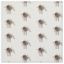 Buscar insecto telas Cualquier niño
