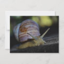 Buscar cornisa Naturaleza