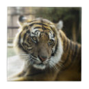 Buscar rayas negras azulejos General y unisex