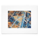 Buscar ramas de árbol posters General y unisex