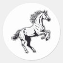 Buscar stallion pegatinas Ecuestre