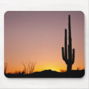 Buscar cactus alfombrillas de raton Fotografía