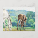 Buscar potro de la yegua postales Caballo