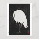 Buscar koson postales Pájaro