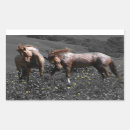 Buscar stallion pegatinas 6 º caballito