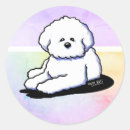 Buscar bichon frise pegatinas Bichón