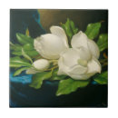 Buscar flor gigante posavasos Magnolias