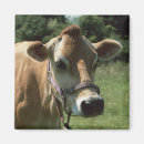 Buscar jersey imanes Campo