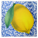 Buscar porcelana azulejos Azul y blanco