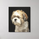 Buscar shih tzu lienzos Animales