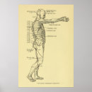 Buscar médico posters Gráfico