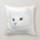 Buscar pelo blanco cojines Gatito