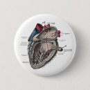 Buscar anatomía accesorios Azul