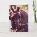 Buscar carruaje tarjetas Caballos