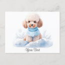 Buscar caniche miniatura tarjetas Cachorro