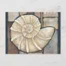 Buscar caracol postales Chariklia zarris