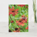 Buscar ojos bonitos tarjetas General y unisex