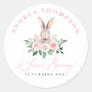 Buscar conejo de conejito pegatinas Moderno