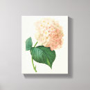 Buscar hortensia lienzos Jardín