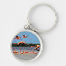 Buscar reservas llaveros Náutico