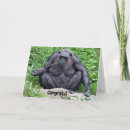 Buscar chimpancés tarjetas Primate