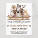 Buscar perros flyers Perro sentado