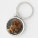 Buscar león del bebé llaveros Fauna