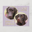 Buscar hundido postales Recuperador