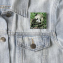 Buscar pandas lindas chapas Fotografía animal