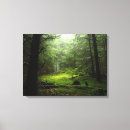 Buscar maderas arte Bosque