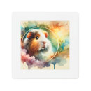 Buscar guinea pig Rodent