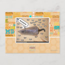 Buscar actual postales Puedo tengo cheezburger