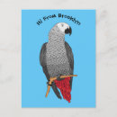 Buscar loro gris postales Pájaro