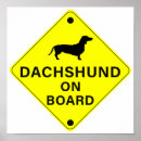 Buscar dachshund posters Perros