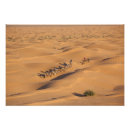 Buscar túnez posters Desierto