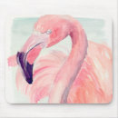 Buscar flamingo electronica Animales