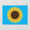 Buscar girasol hermoso postales Amarillo