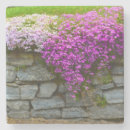 Buscar pared de la roca posavasos 1 ᵉʳ roca