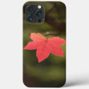 Buscar la hoja arce iphone fundas Botánico