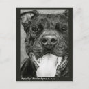 Buscar bull verticales postales Dibujar