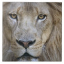 Buscar macho azulejos África