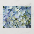 Buscar flores hermosas postales Foto