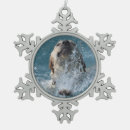 Buscar laboratorio adornos Caza