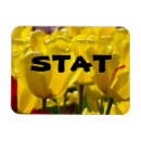 Buscar tulipa imanes Para todos