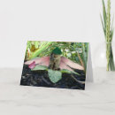 Buscar gato de hadas tarjetas Gatito
