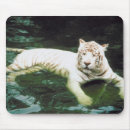 Buscar tigre blanco alfombrillas de raton Gato grande